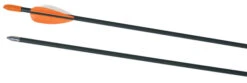 Safety Glass Archery Arrows, 28 Inches, Pack Of 72