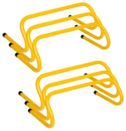 Champion 6 Inch Weighted Training Hurdles, Set Of 6