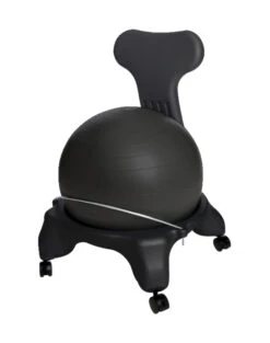 Aeromat Replacement Ball For Teen/Adult Ball Chair, Black