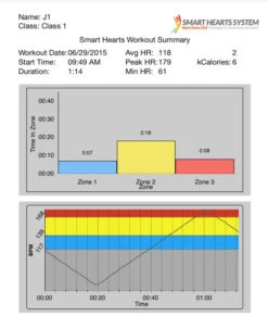 Heart Zones Dual Bridge 9 Heart Zones Dual Bridge -Fitness Equipment 1539554 B ecommfullsize