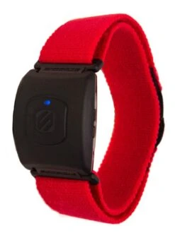 Heart Zones Blink 3.0 Plus Armband Sensor, Medium/Large Band